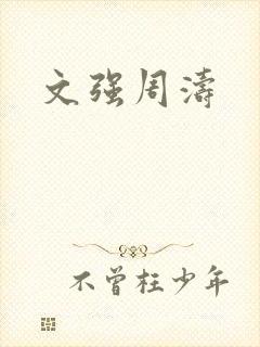 文强周涛