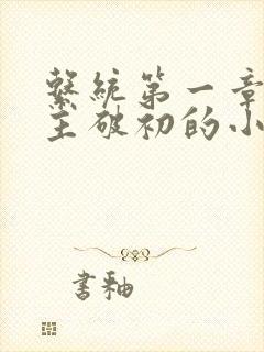 系统第一章给宿主破初的小说