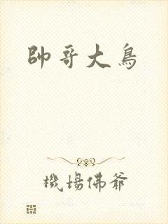 帅哥大鸟