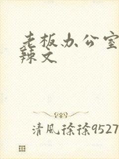 老板办公室系列辣文