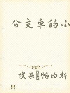 公交车的小说