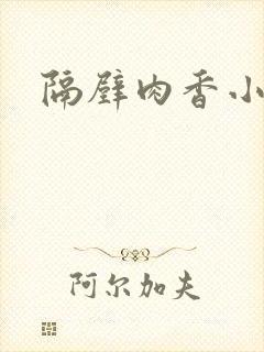 隔壁肉香小说