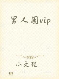 男人团vip