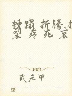 糟蹋 折腾 撕裂 疼 死 哀求