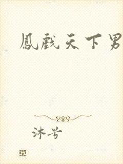 凤戏天下男