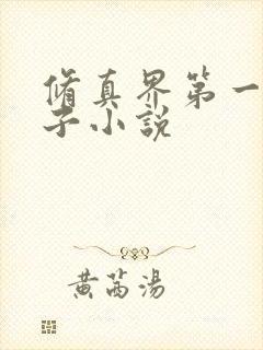 修真界第一病秧子小说