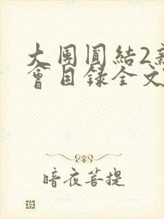 大团圆结2亲情会目录全文阅读视频