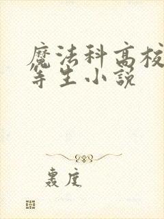 《魔法科高校的劣等生小说》小说封面