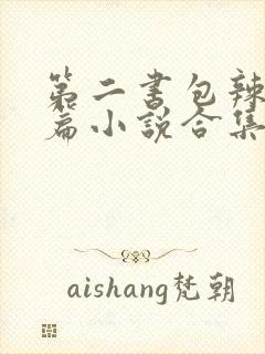 第二书包辣网短篇小说合集