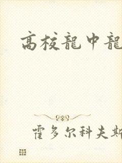 高校龙中龙