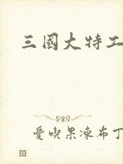 三国大特工