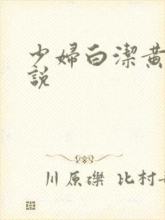 少妇白洁黄色小说