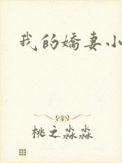 我的娇妻小说