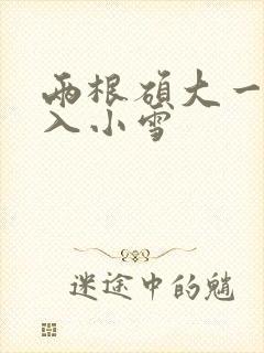 两根硕大一起挤入小雪