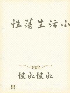 性荡生活小说封面