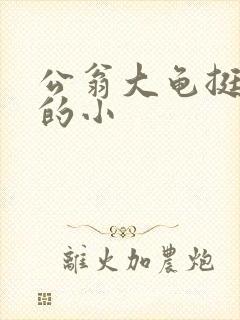 公翁大龟挺进我的小