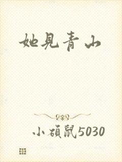 《她见青山》小说封面