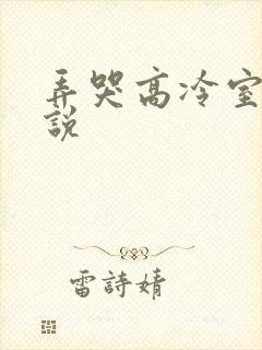 弄哭高冷室友小说