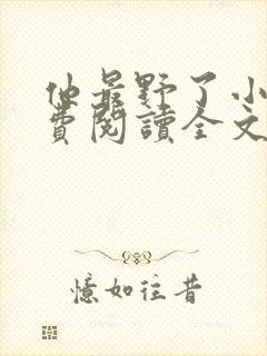 他最野了小说免费阅读全文