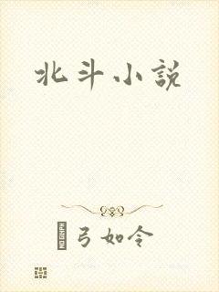 北斗小说