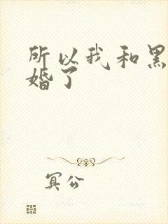 所以我和黑粉结婚了