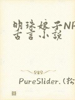 明珠娘子NPC古言小说