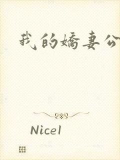 我的娇妻公务员