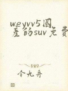 weyvv5国产的suv免费