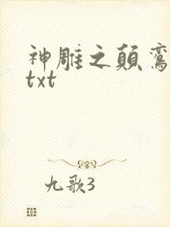 神雕之颠鸾倒凤txt封面