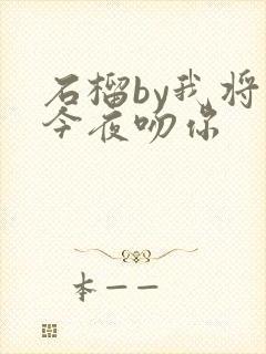 石榴by我将在今夜吻你封面
