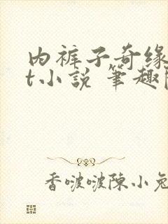 内裤子奇缘txt小说 笔趣阁