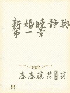 新婚晓静与翁公笫一章
