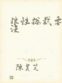 狼性总裁要够了没
