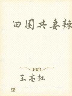 田园共妻辣