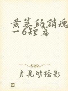 黄蓉的销魂夜1一6短篇