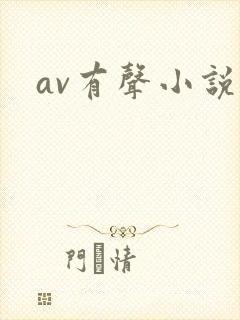 av有声小说