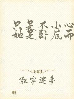 只是不小心发现她是卧底而已