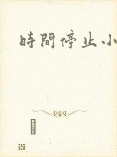 时间停止小说