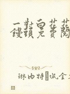 一对白花花的大馒头免费阅读