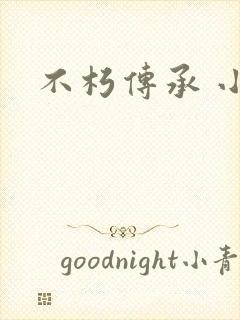 不朽传承 小说