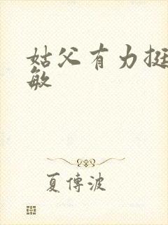 姑父有力挺送赵敏