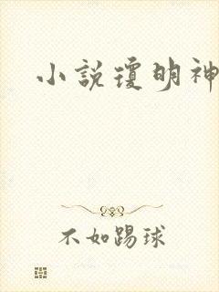 小说琼明神女录