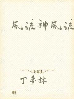 风流神风流记封面