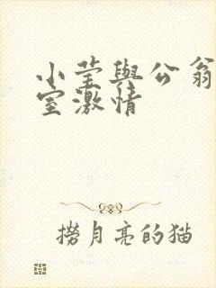 小莹与公翁办公室激情
