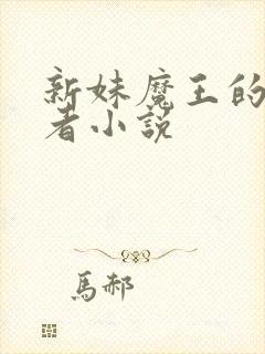 新妹魔王的契约者小说