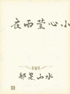 夜雨莹心小说
