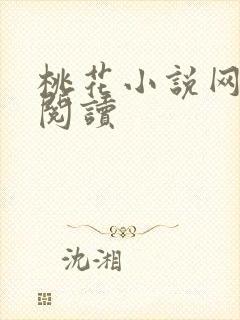 桃花小说网小说阅读