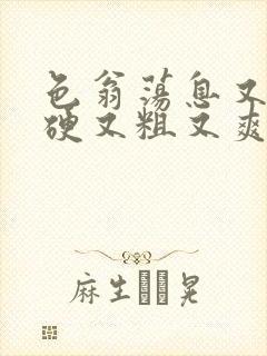 色翁荡息又大又硬又粗又爽小莹