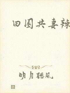 田园共妻辣