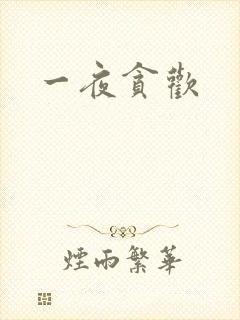 一夜贪欢
